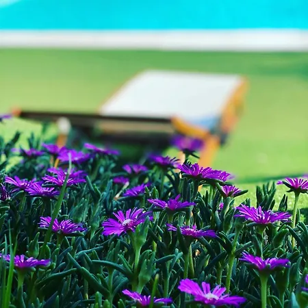 Borgo Antico Fabriano